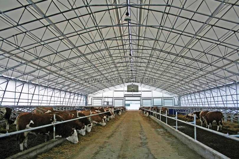 Tokatlı Yetiştiricilerin Dikkatine: 4,1 Milyar TL Destek Hesaplara Aktarıldı