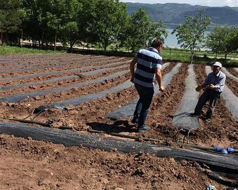 Tokat’ta Sulama Hibesi Sonuçları Açıklandı: Listede Olanlar 28 Eylül’e Kadar Başvurmazsa Hakkını Kaybedecek