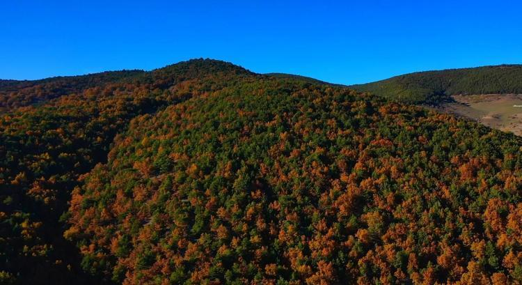 Tokat’ta Orman Sınırları Değişti: Karar Resmî Gazete’de Yayımlandı