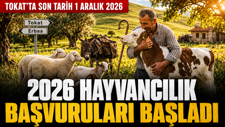 Tokat’ta 2026 Hayvancılık Destekleme Başvuruları Başladı