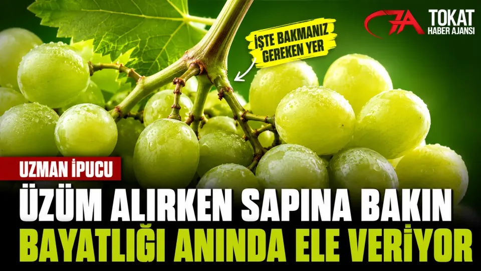 Üzüm alırken sapına bakın: Bayatlığı saniyeler içinde belli oluyor