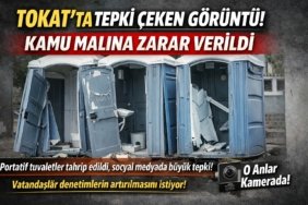 tokatta-tepki-ceken-goruntu-kamu-malina-zarar-verildi